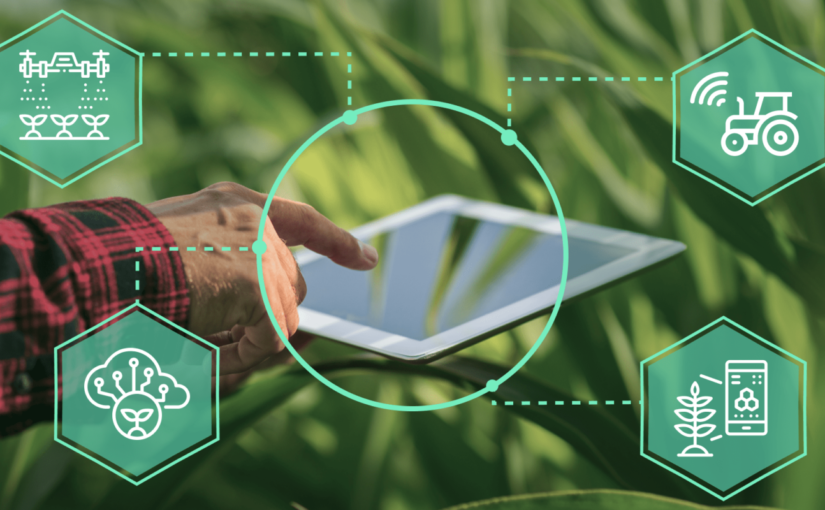 Program Internet Sambung Desa (ISD), Penerapan IoT Pertanian Cerdas di Lahan Percontohan Kelompok Tani
